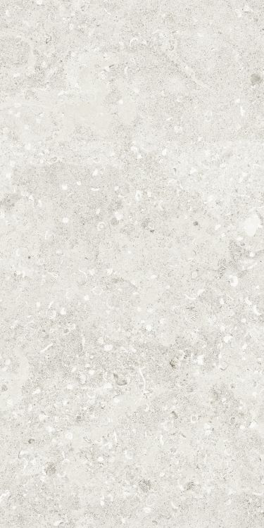 Sea Luster Bianca Matte 24 x 48